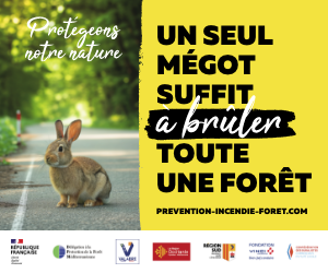 Une étincelle suffit à brûler toute une forêt !